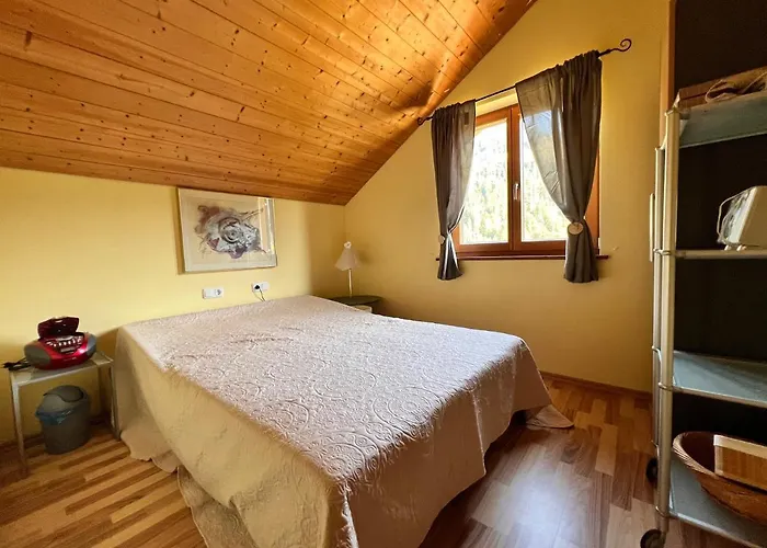 別荘 Haus Susi ドルンビルン